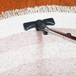 Expert Carpet Cleaning From the Best: Keep Your Home Tidy Throughout 2024 With Merreot