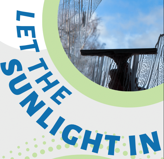 You are currently viewing Let the Sunlight In!